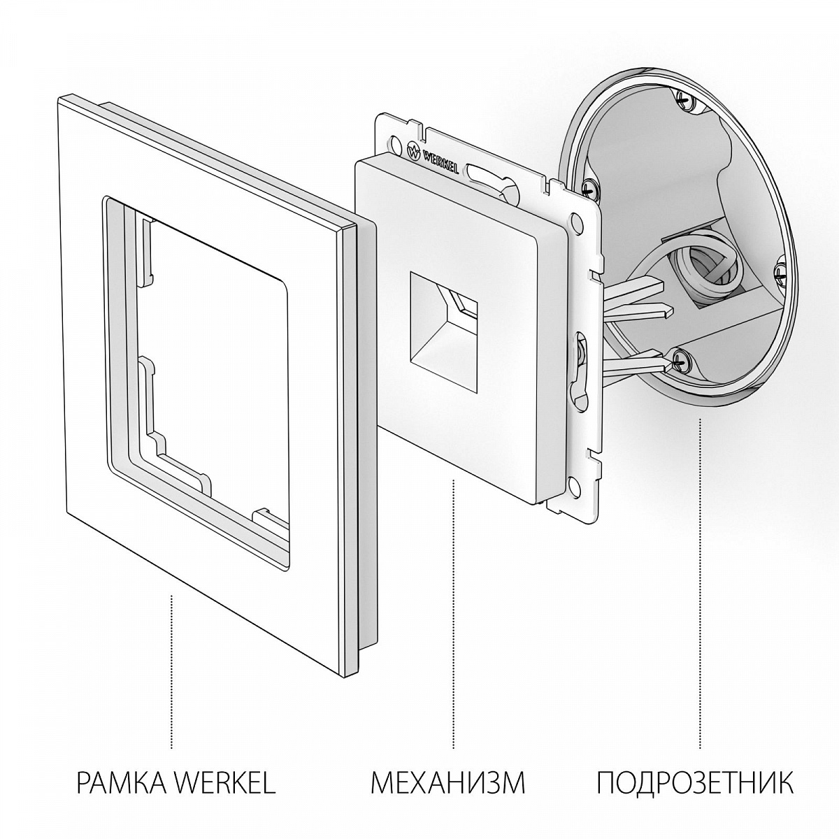 Розетка Ethernet RJ-45 (слоновая кость) W1181003